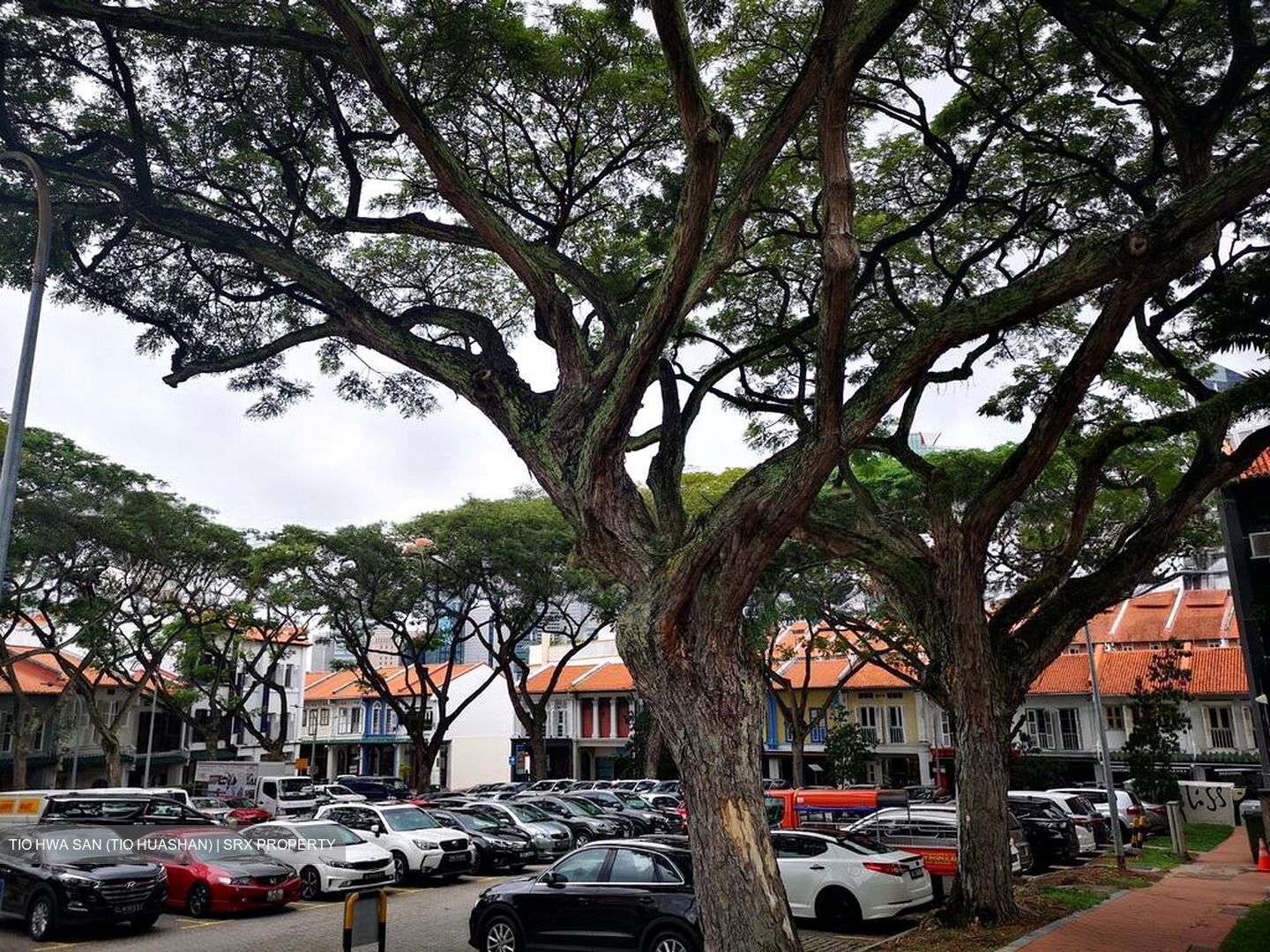 Tanjong Pagar Conservation Area (D2), Shop House #521842111